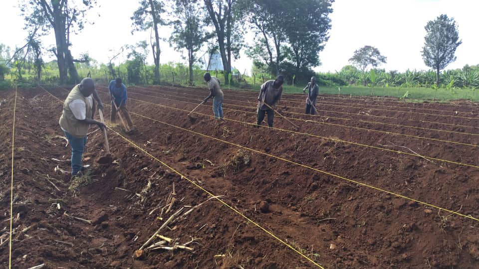 Sustainable Agriculture Training